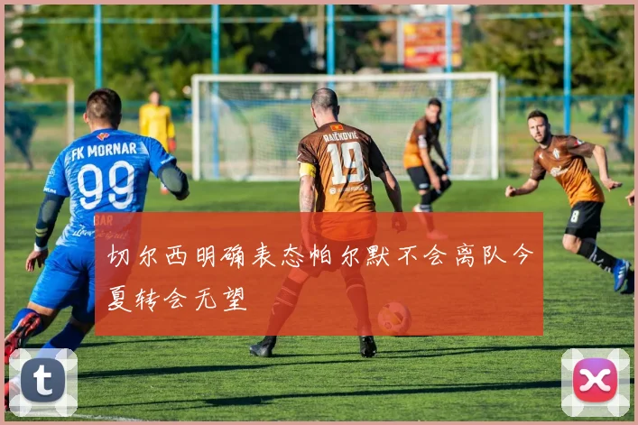 切尔西明确表态帕尔默不会离队今夏转会无望
