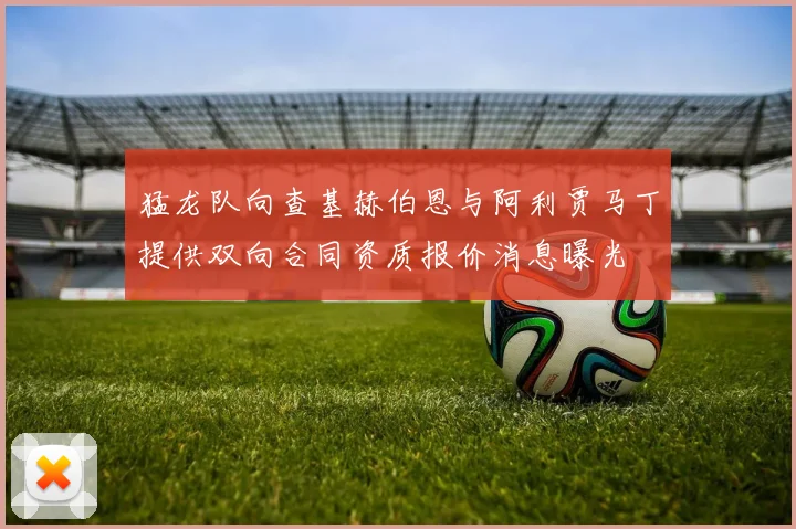 猛龙队向查基赫伯恩与阿利贾马丁提供双向合同资质报价消息曝光